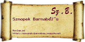 Sznopek Barnabás névjegykártya